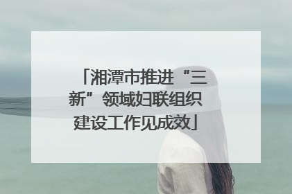 湘潭市推进“三新”领域妇联组织建设工作见成效