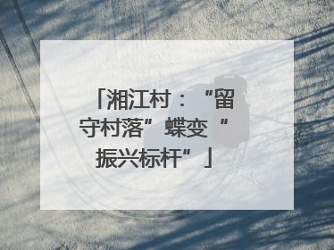 湘江村：“留守村落”蝶变“振兴标杆”