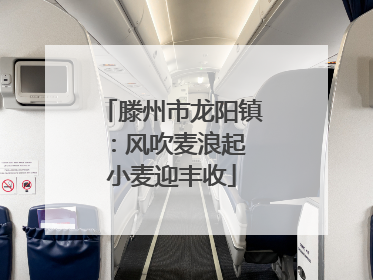 滕州市龙阳镇：风吹麦浪起 小麦迎丰收