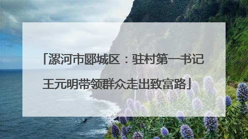 漯河市郾城区：驻村第一书记王元明带领群众走出致富路