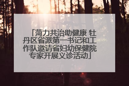 菏力共治助健康 牡丹区省派第一书记和工作队邀请省妇幼保健院专家开展义诊活动
