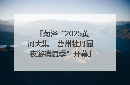 菏泽“2025黄河大集—曹州牡丹园夜游消夏季”开幕