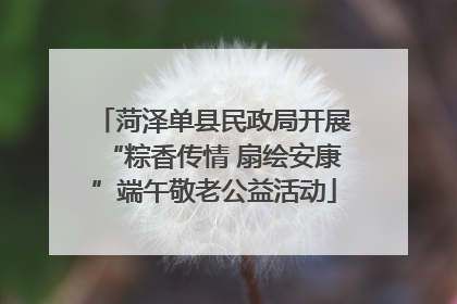 菏泽单县民政局开展“粽香传情 扇绘安康”端午敬老公益活动