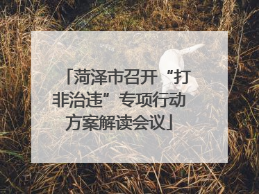 菏泽市召开“打非治违”专项行动方案解读会议