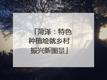 菏泽：特色种植绘就乡村振兴新图景
