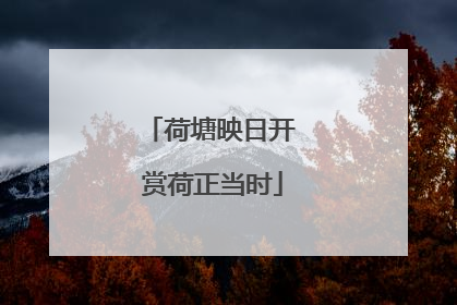 荷塘映日开 赏荷正当时