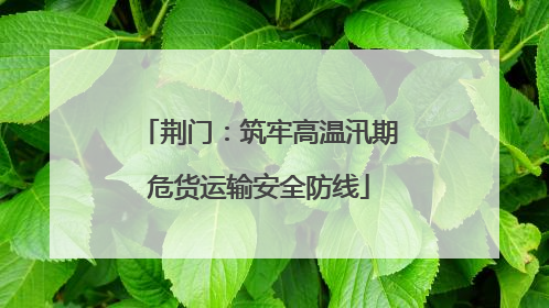 荆门：筑牢高温汛期危货运输安全防线