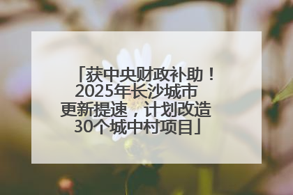 获中央财政补助！2025年长沙城市更新提速，计划改造30个城中村项目