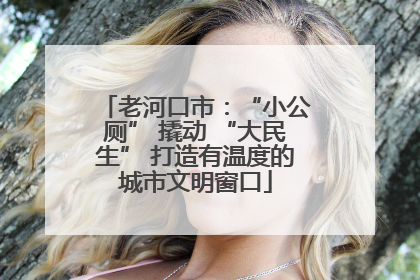 老河口市：“小公厕” 撬动 “大民生” 打造有温度的城市文明窗口
