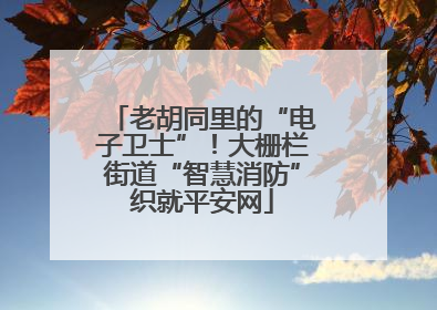 老胡同里的“电子卫士”！大栅栏街道“智慧消防”织就平安网