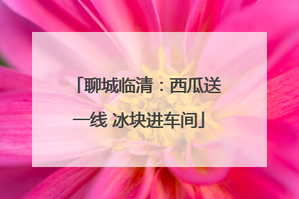 聊城临清：西瓜送一线 冰块进车间