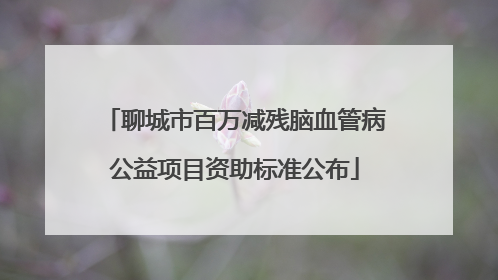 聊城市百万减残脑血管病公益项目资助标准公布