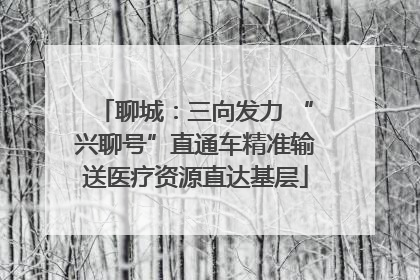 聊城：三向发力 “兴聊号”直通车精准输送医疗资源直达基层