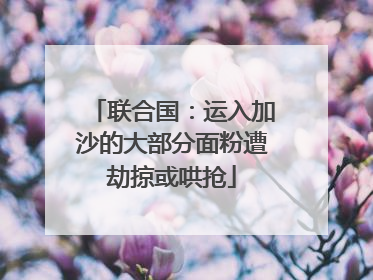 联合国：运入加沙的大部分面粉遭劫掠或哄抢