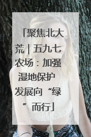 聚焦北大荒｜五九七农场：加强湿地保护 发展向“绿”而行