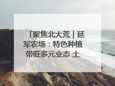 聚焦北大荒｜延军农场：特色种植带旺多元业态 土地焕发新活力