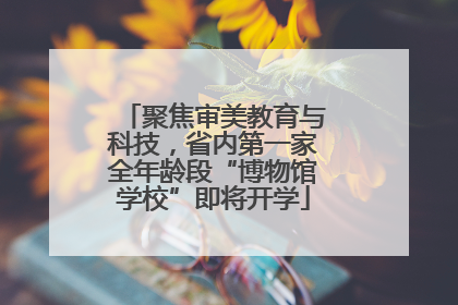 聚焦审美教育与科技，省内第一家全年龄段“博物馆学校”即将开学
