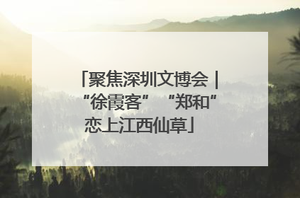 聚焦深圳文博会｜“徐霞客”“郑和”恋上江西仙草