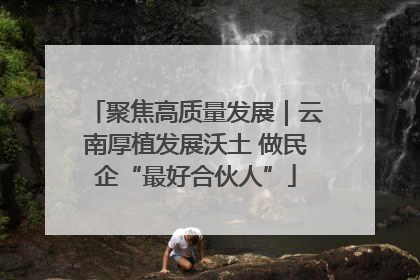 聚焦高质量发展｜云南厚植发展沃土 做民企“最好合伙人”