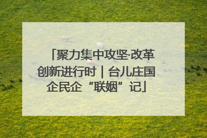 聚力集中攻坚·改革创新进行时｜台儿庄国企民企“联姻”记