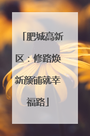 肥城高新区：修路焕新颜铺就幸福路