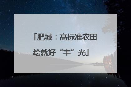 肥城：高标准农田绘就好“丰”光