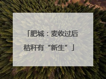 肥城：麦收过后秸秆有“新生”