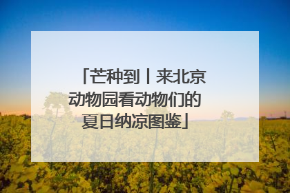 芒种到丨来北京动物园看动物们的夏日纳凉图鉴