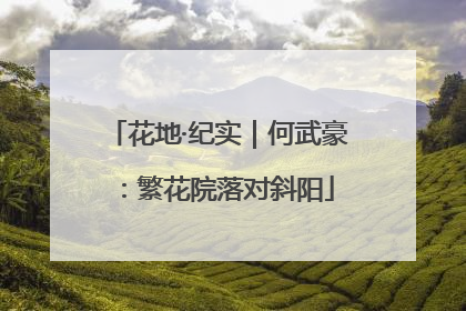 花地·纪实｜何武豪：繁花院落对斜阳
