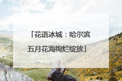花语冰城：哈尔滨五月花海绚烂绽放