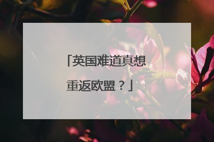 英国难道真想重返欧盟？