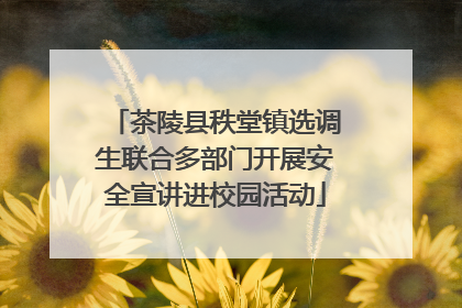 茶陵县秩堂镇选调生联合多部门开展安全宣讲进校园活动