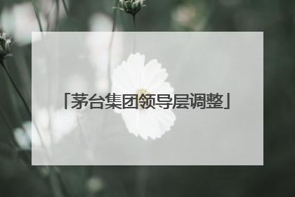 茅台集团领导层调整