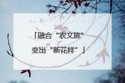 融合“农文旅” 变出“新花样”