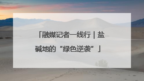 融媒记者一线行｜盐碱地的“绿色逆袭”