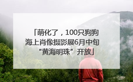 萌化了，100只狗狗海上肖像摄影展6月中旬“黄海明珠”开放