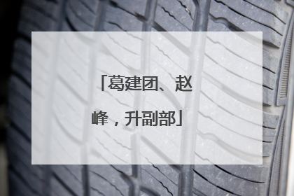 葛建团、赵峰，升副部