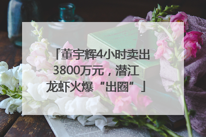 董宇辉4小时卖出3800万元，潜江龙虾火爆“出圈”