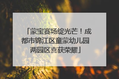 蒙宝赛场绽光芒！成都市锦江区童蒙幼儿园两园区喜获荣耀