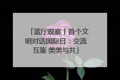 蓝厅观察丨首个文明对话国际日：交流互鉴 美美与共