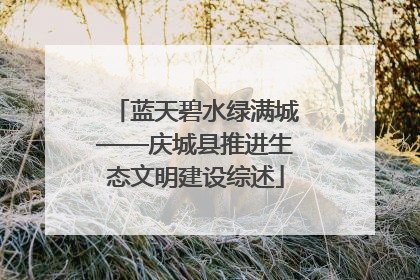 蓝天碧水绿满城——庆城县推进生态文明建设综述