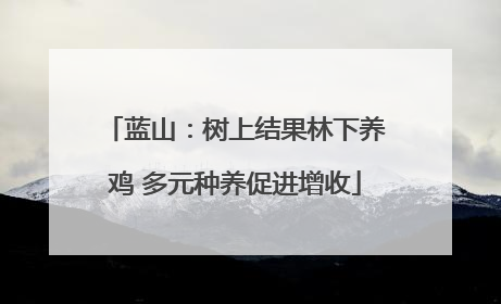 蓝山：树上结果林下养鸡 多元种养促进增收