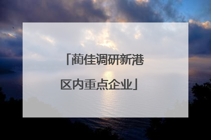 蔺佳调研新港区内重点企业