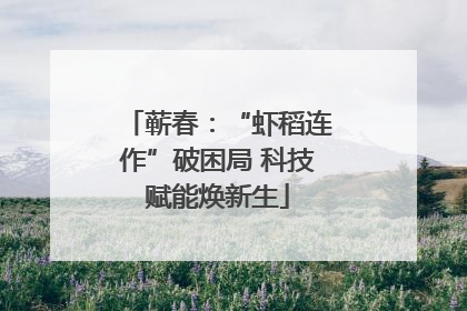 蕲春：“虾稻连作”破困局 科技赋能焕新生