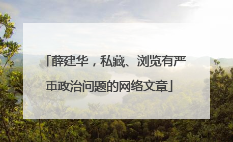 薛建华，私藏、浏览有严重政治问题的网络文章