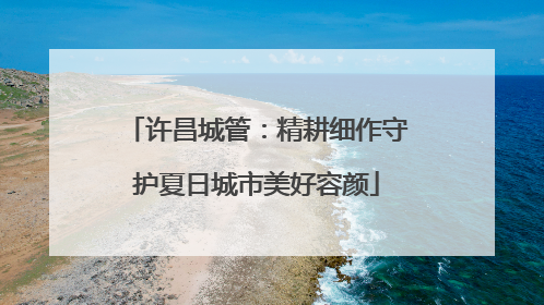 许昌城管：精耕细作守护夏日城市美好容颜