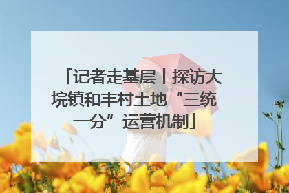 记者走基层丨探访大垸镇和丰村土地“三统一分”运营机制