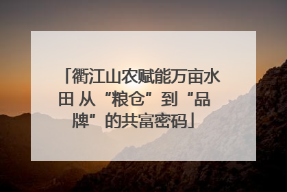 衢江山农赋能万亩水田 从“粮仓”到“品牌”的共富密码