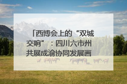 西博会上的“双城交响”：四川六市州共展成渝协同发展画卷｜西博视界
