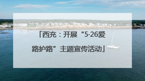 西充：开展“5·26爱路护路”主题宣传活动